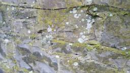 acastle 105740.jpg